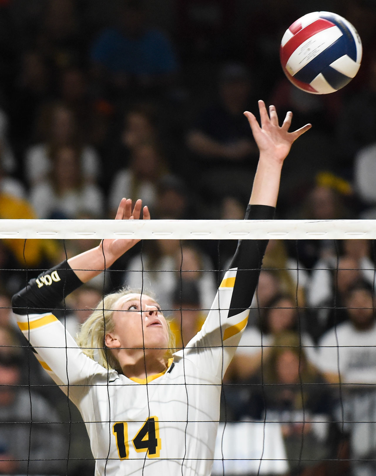 Volleyball NAIA Dordt vs. Columbia